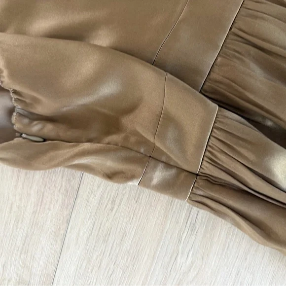 Vfish Taupe Silk Dress with Pleated Trim - Picture 9 of 9